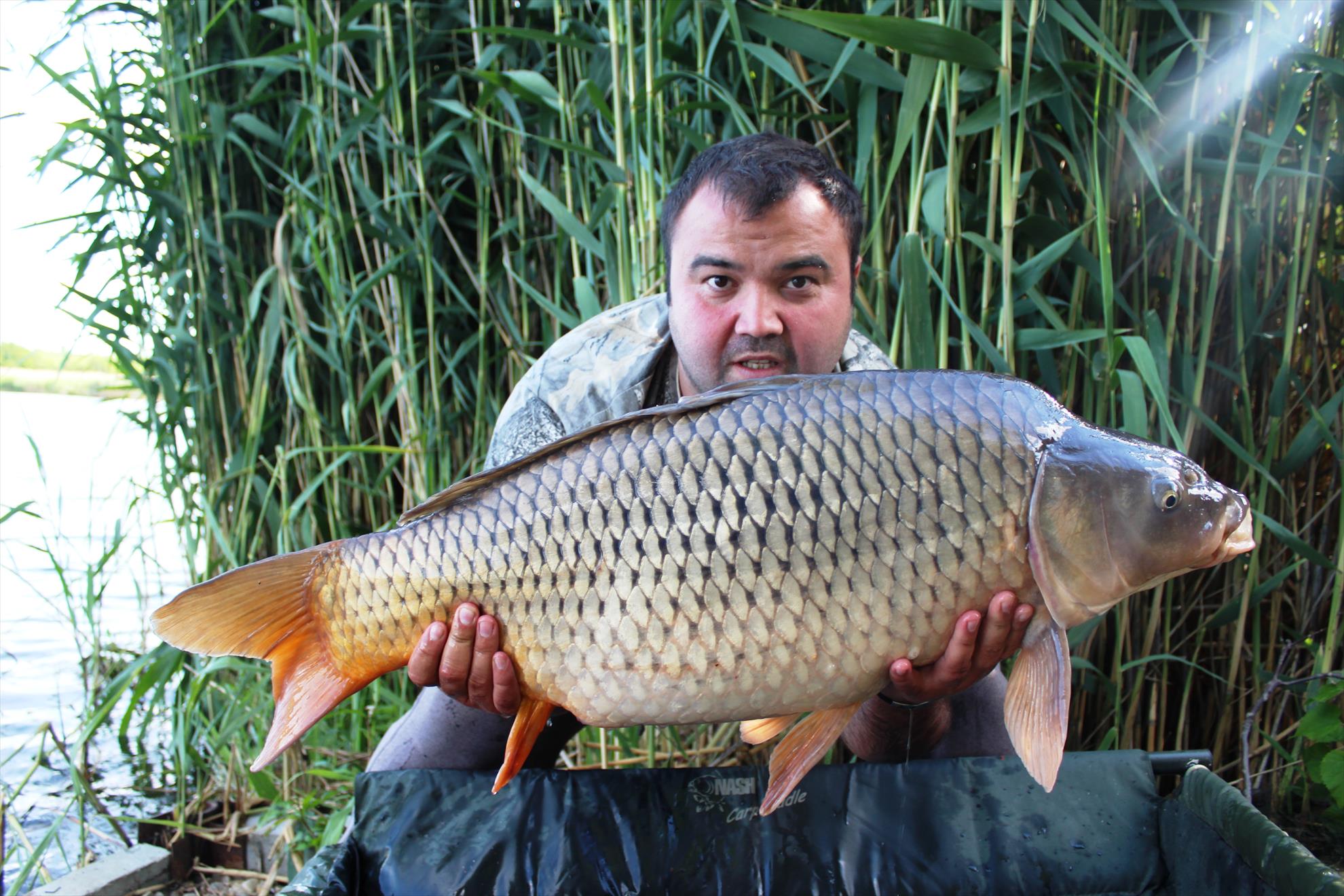 pescuit ,pur si simplu - img8740.JPG